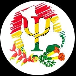 Universidad Aliada 2