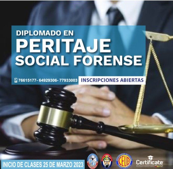 PERITAJE SOCIAL FORENCE